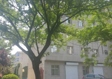 1996年 渭南倉程路杜橋信用社家屬樓、辦公樓